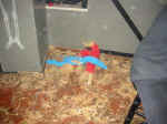 103-0359_IMG.JPG (126455 Byte)