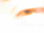 104-0482_IMG.JPG (22165 Byte)