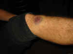 105-0512_IMG.JPG (55800 Byte)